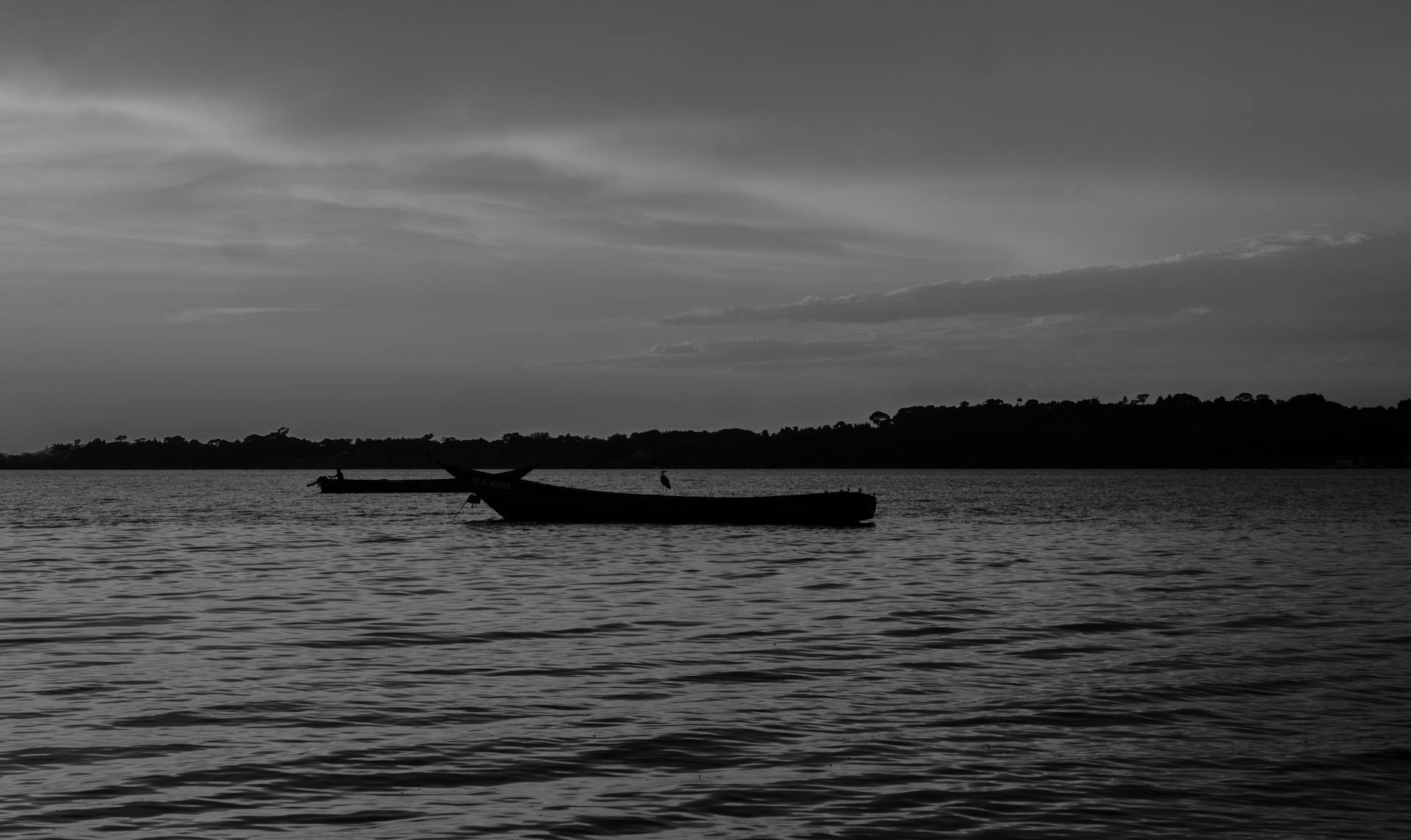 Black and white silhouette of boats on Lake Victoria during twilight, Entebbe, Uganda.