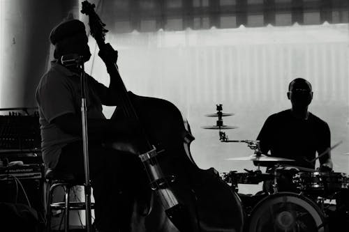 Darmowe zdjęcie z galerii z basista, czarno-biały, granie
