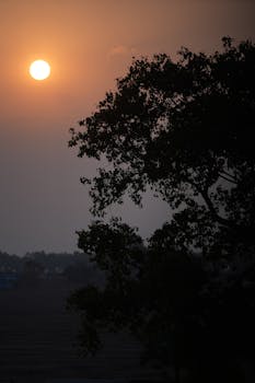 A tranquil sunset scene with a silhouette of a tree against an orange sky, evoking a peaceful evening mood.