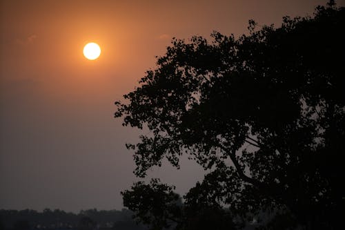 beautiful Full Moon in the Sky