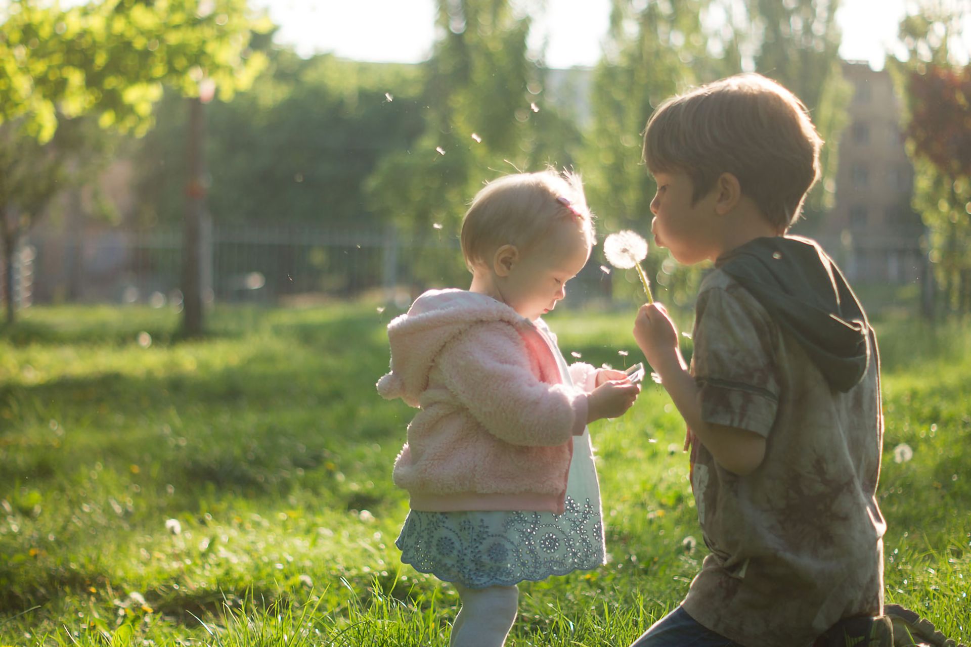 A child blowing the seeds from a dandelion outdoors