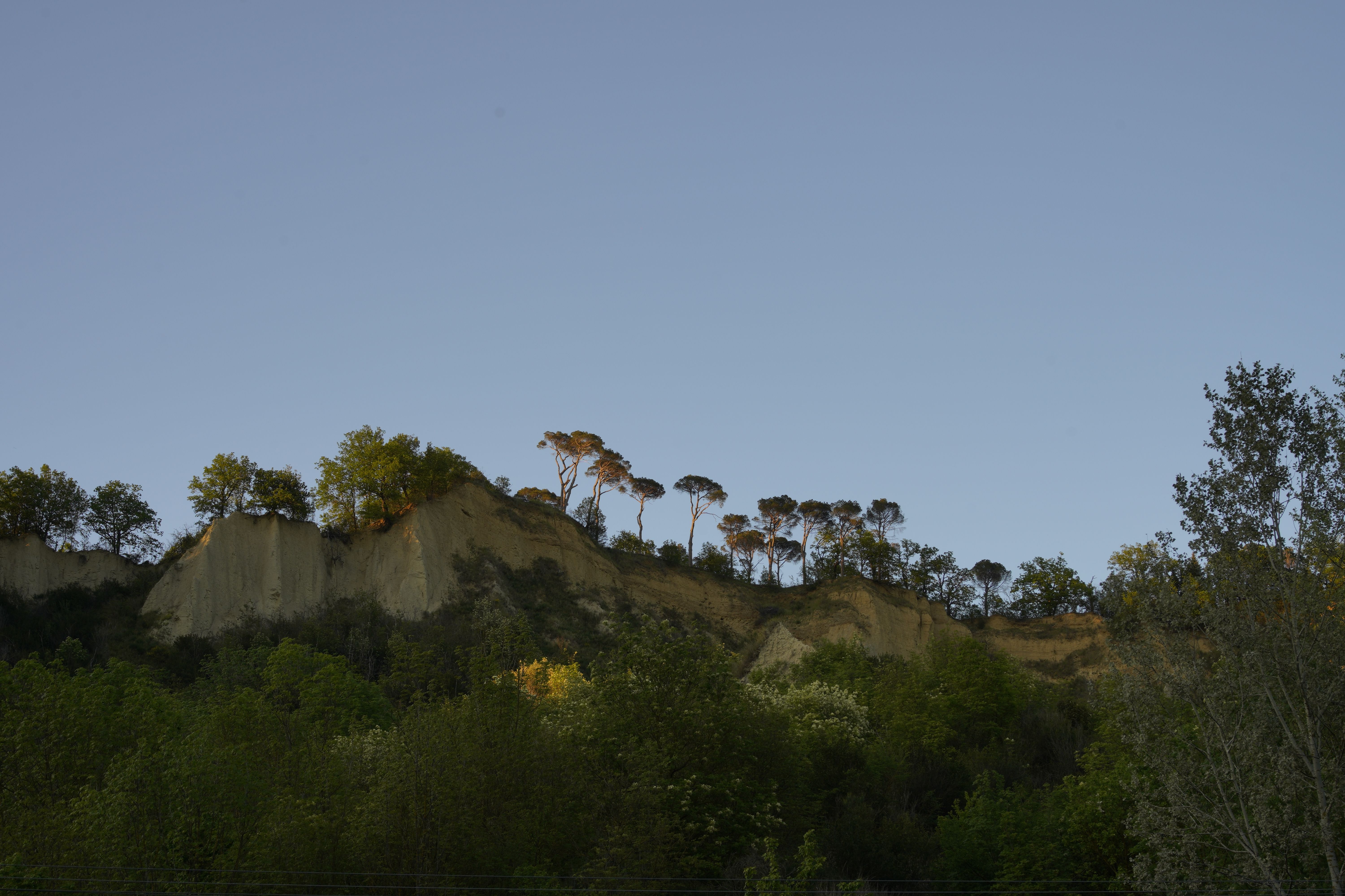 Captivating view of geological cliffs topped with trees in Brisighella, Italy, under a clear blue sky.