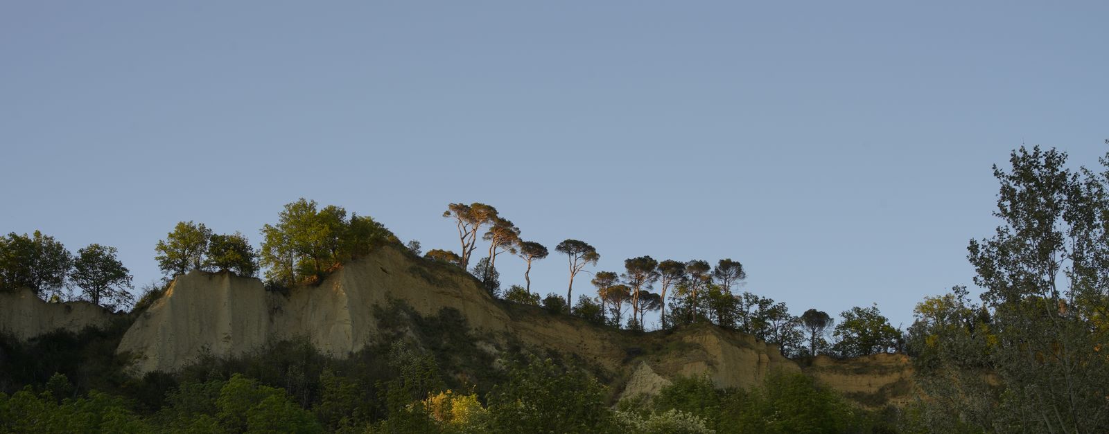 Captivating view of geological cliffs topped with trees in Brisighella, Italy, under a clear blue sky.