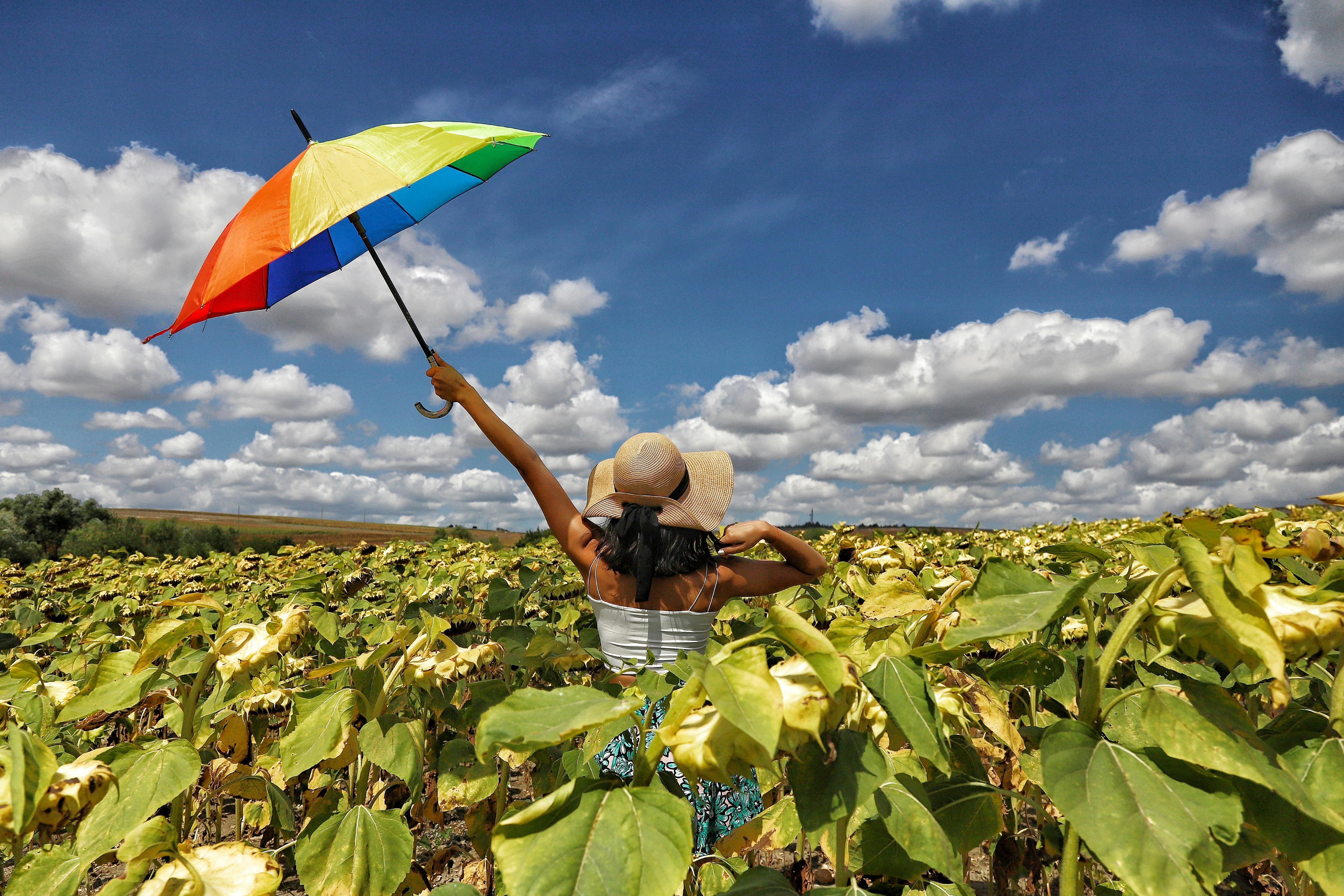 Woman with Colorful Umbrella in Summer · Free Stock Photo