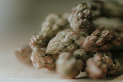 Free Macro shot of a fresh asparagus bunch highlighting its texture and natural color. Stock Photo