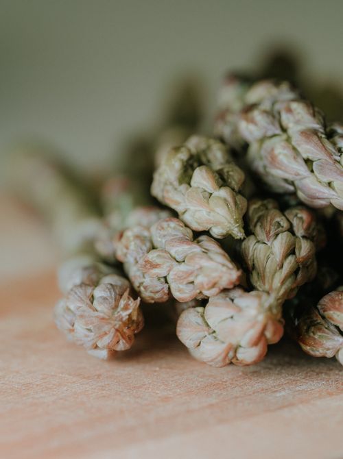 Free Macro shot of fresh organic asparagus on a wooden surface, highlighting texture and detail. Stock Photo