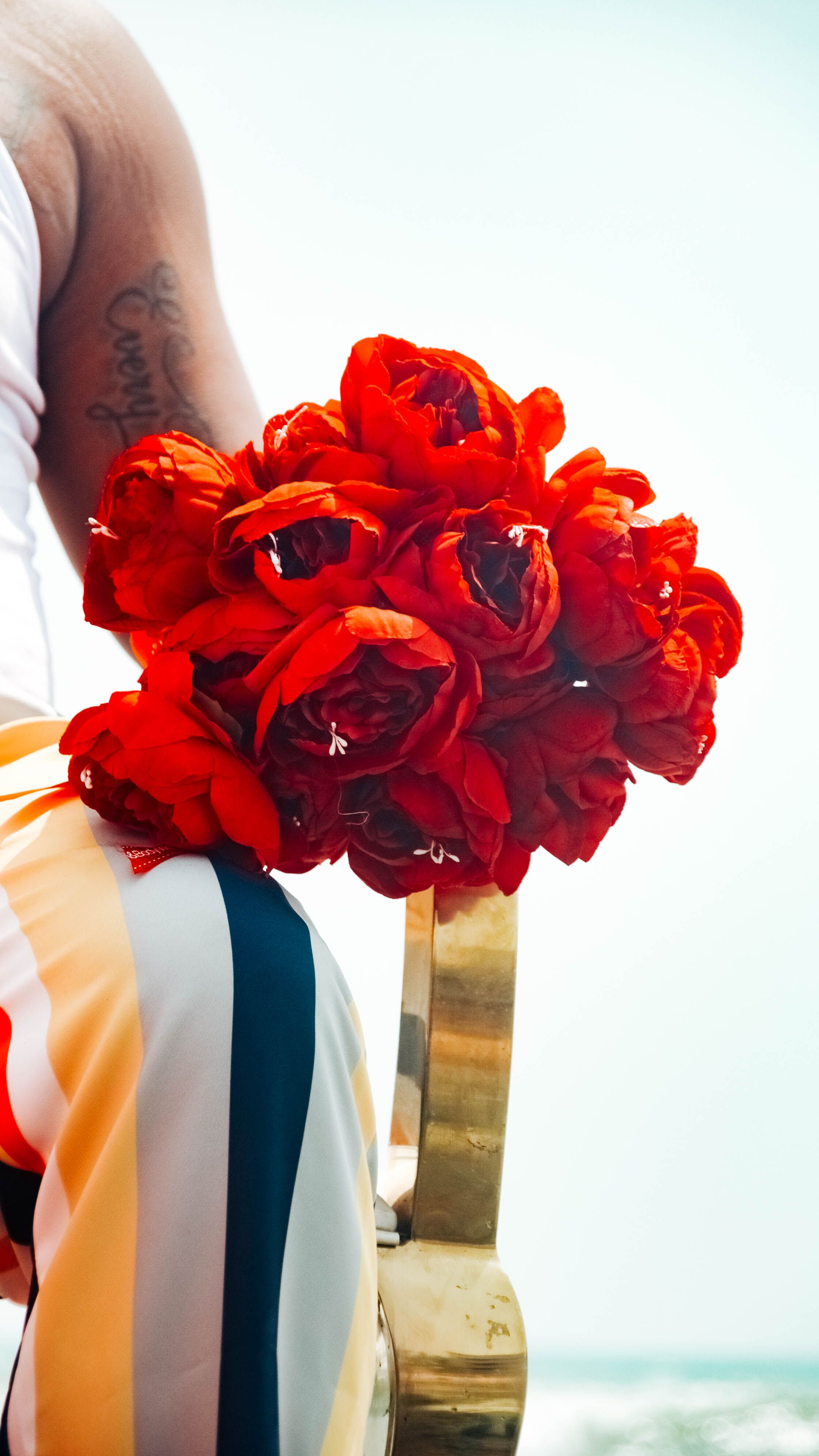 Bouquet Red Roses held by a Person · Free Stock Photo