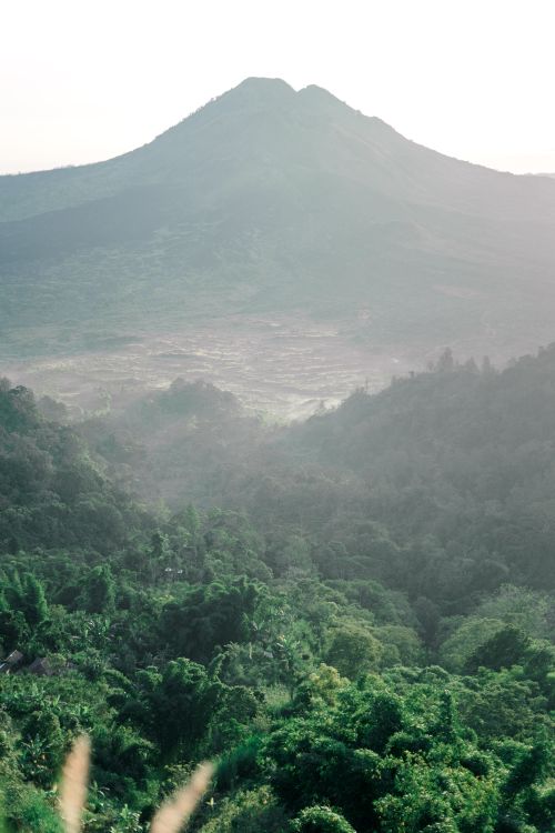 Free A scenic view of a misty mountain with lush green forest captured beautifully. Stock Photo