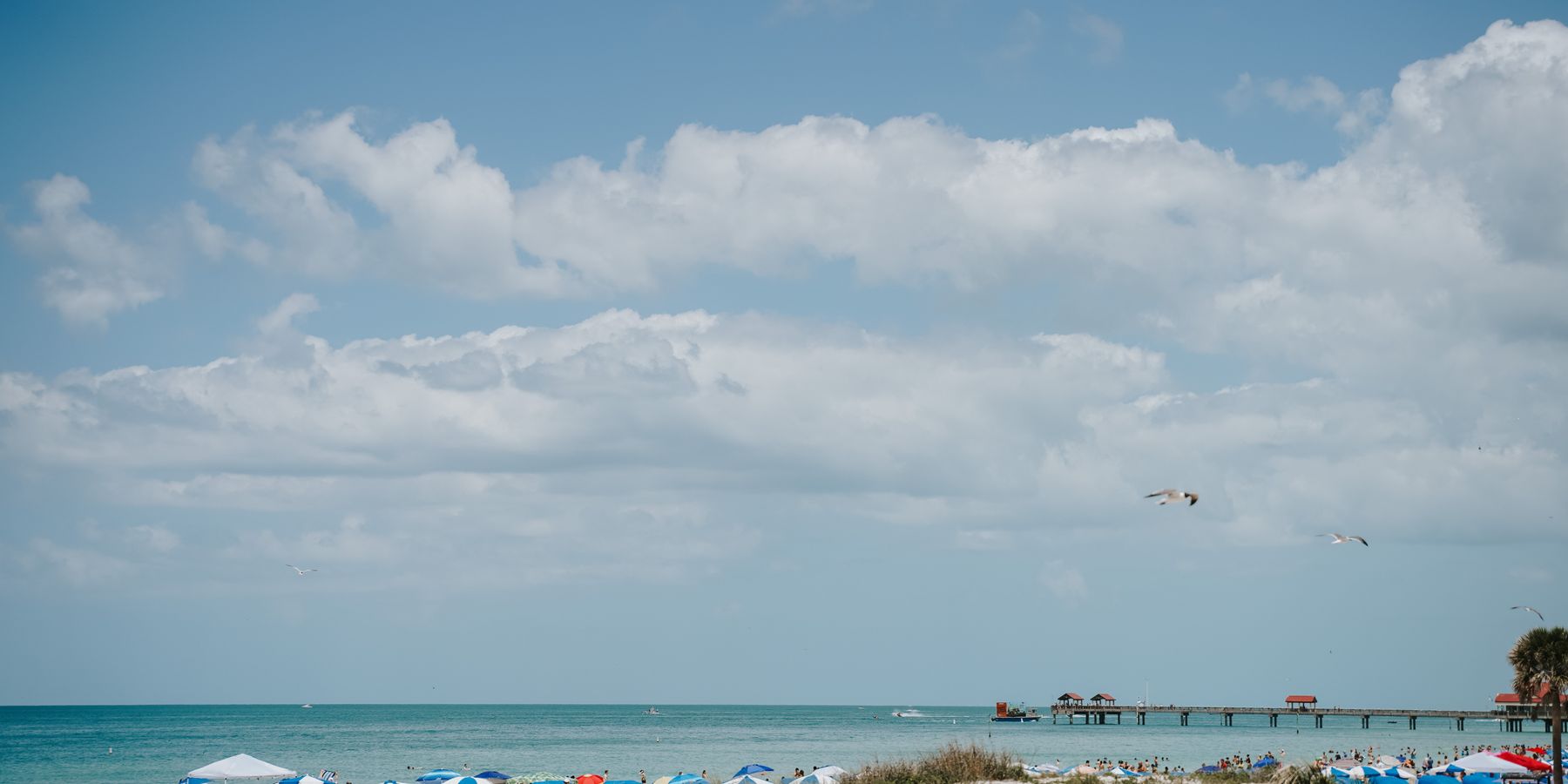 Relaxing scene of Clearwater Beach in Florida with beach umbrellas and a scenic ocean view.