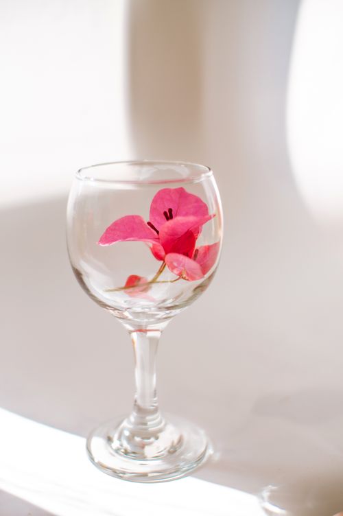 Free A delicate pink flower beautifully arranged inside a clear wine glass, perfect for artistic decor. Stock Photo