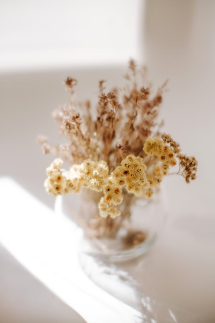 Dry Flowers In Vase On White Background