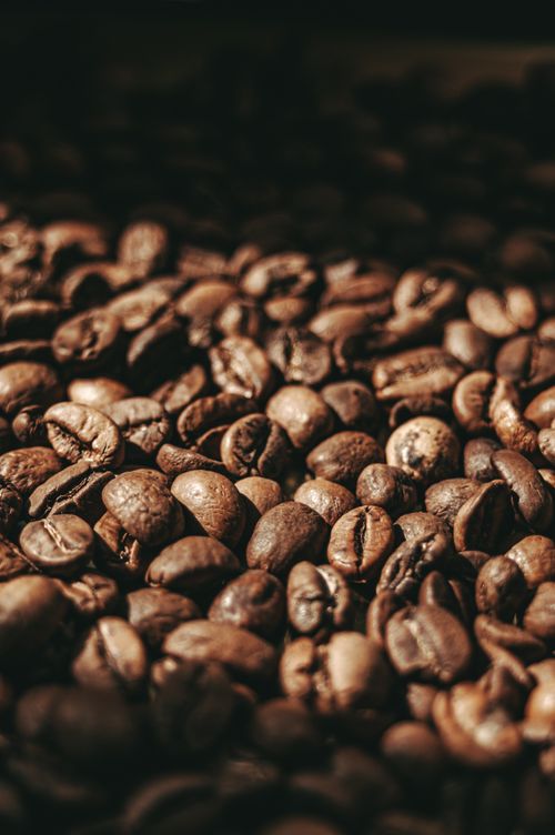 Free A detailed close-up of roasted coffee beans with rich textures and warm sunlight. Stock Photo