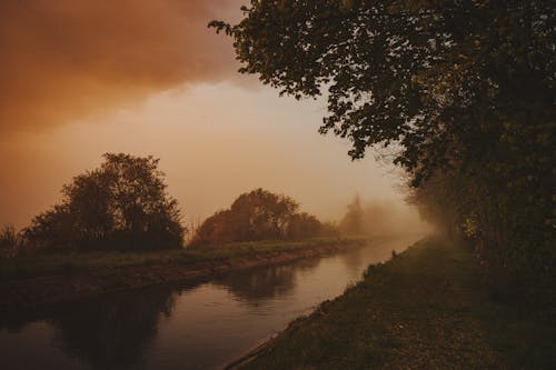 Foto profissional grátis de árvores, campo, céu nublado