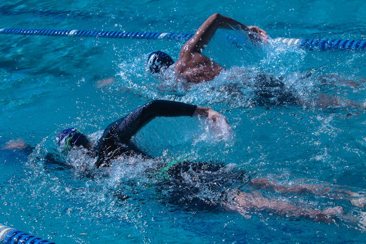 Swimmers In The Pool 