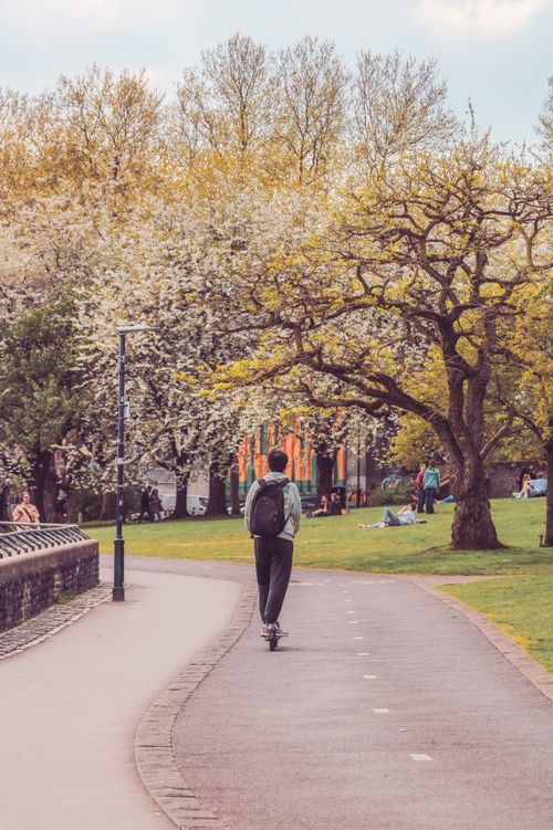 Free A person with a backpack riding a scooter on a park path lined with blooming trees in Bristol. Stock Photo