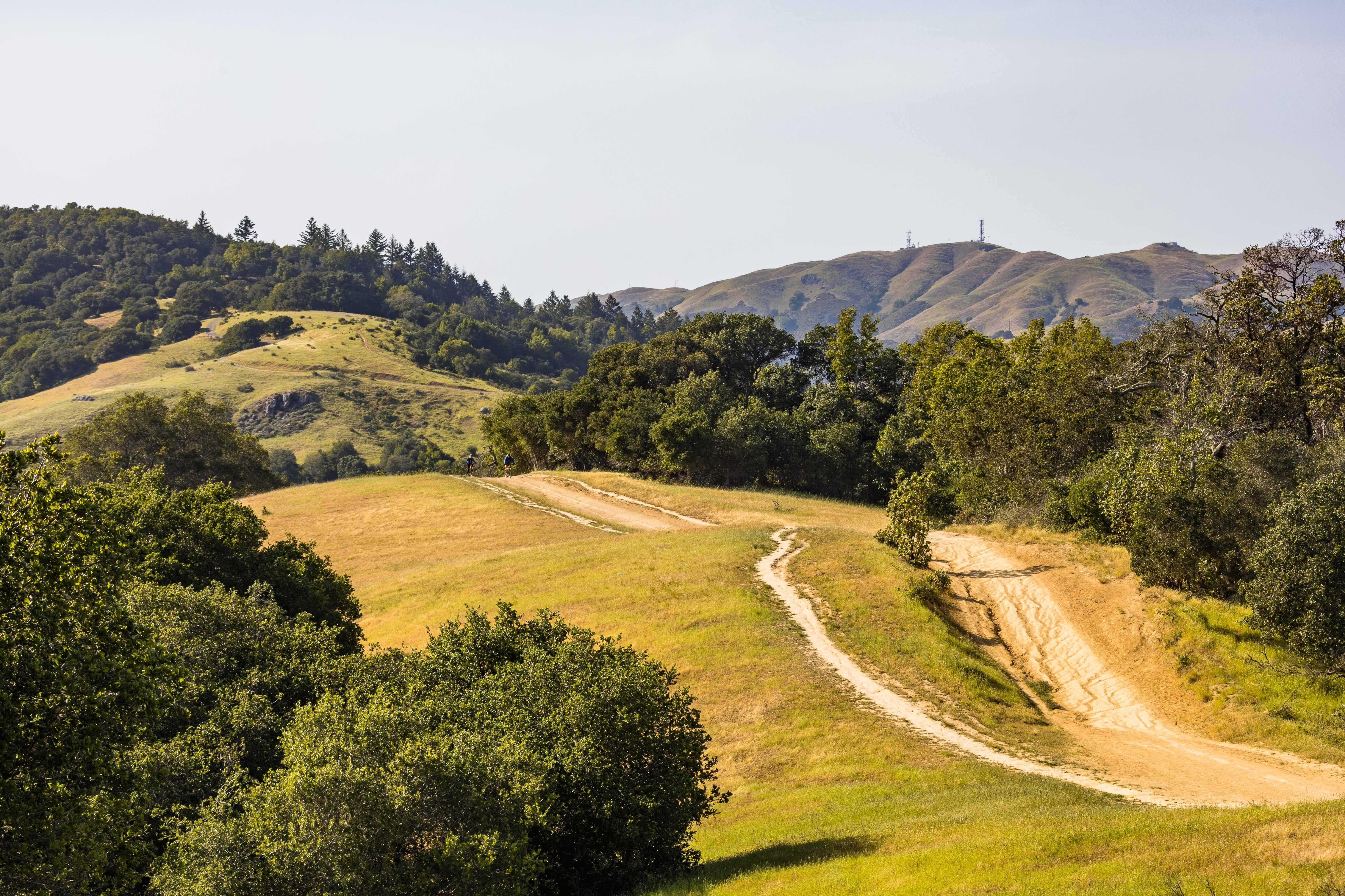 (LETTERS) Public lands, honoring patriots and men’s mental health — Photo by Robert So on Pexels