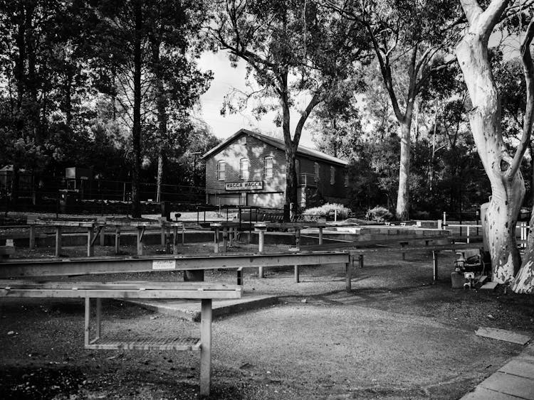 Steel Constructions In Park