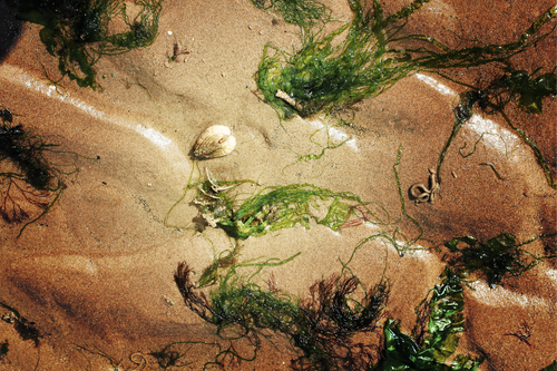 Free stock photo of beach Stock Photo