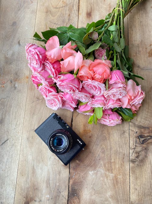 Free A Camera and a Bouquet of Pink Roses  Stock Photo