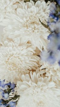 Elegant white chrysanthemums with hints of blue flowers in a soft, natural setting.
