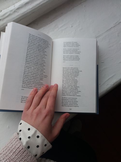 Free Person reading an open book, focusing on literary content with natural light. Stock Photo