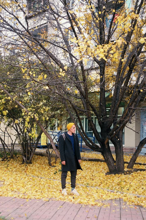 A Man Standing on Fallen Leaves 
