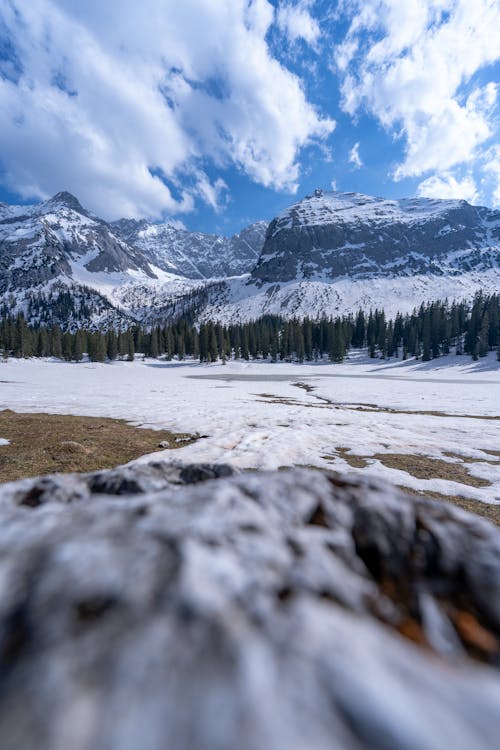 Immagine gratuita di alberi, campagna, cielo nuvoloso