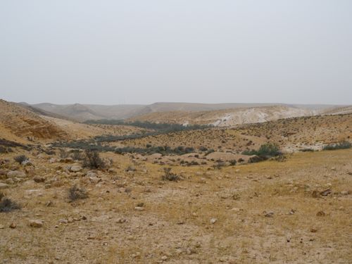 Free A vast and dry desert landscape with rolling hills, sparse vegetation, and cloudy sky. Stock Photo