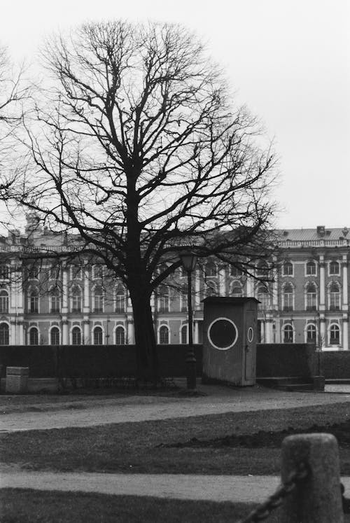 Fotobanka s bezplatnými fotkami na tému čierny a biely, palác, paláca