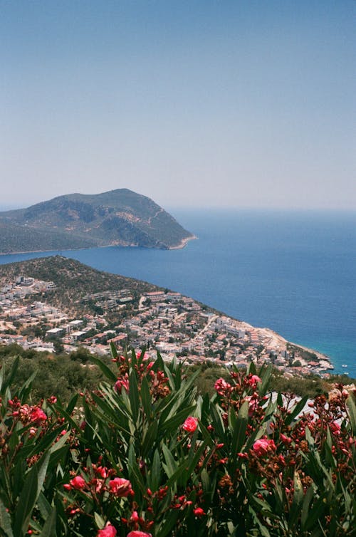 Sea Coast with Hills 