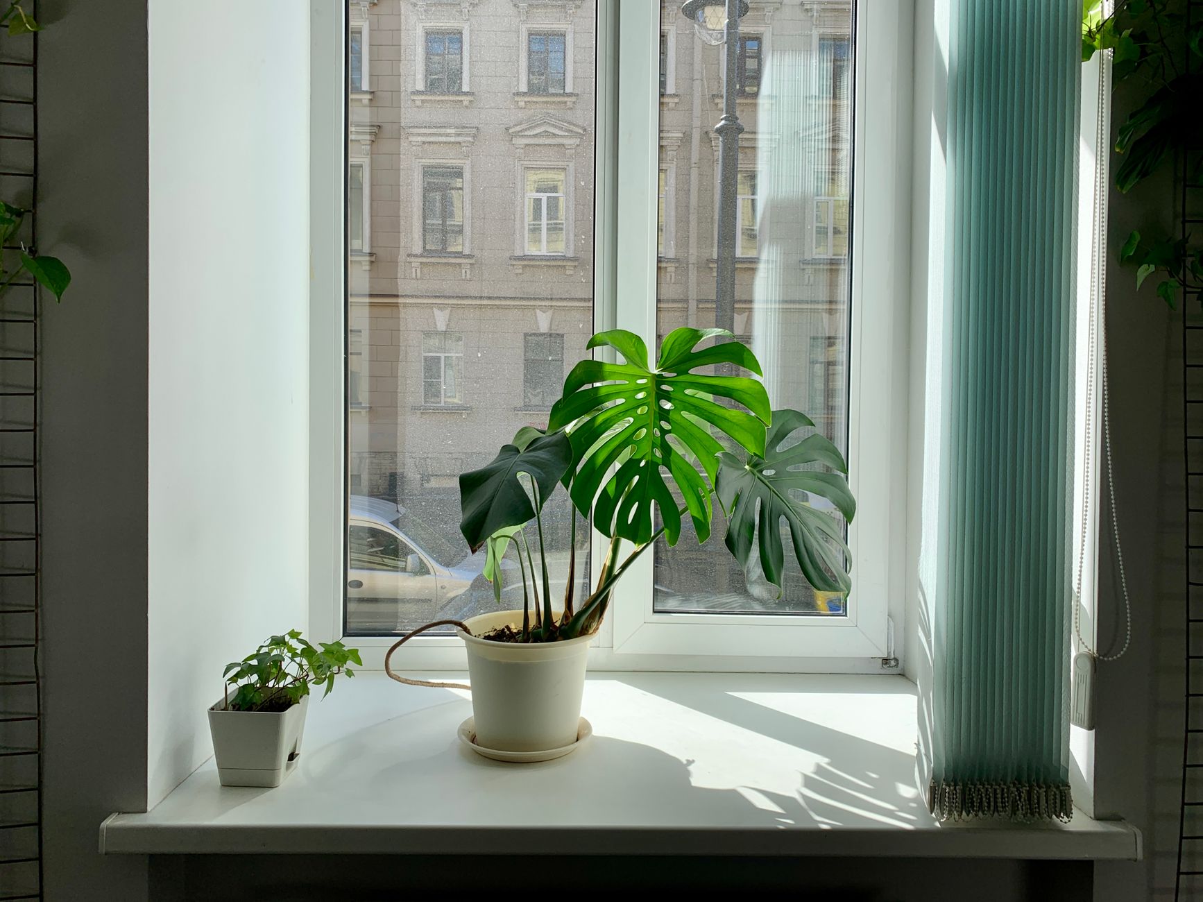 blueair classic air purifier gray tower wifi