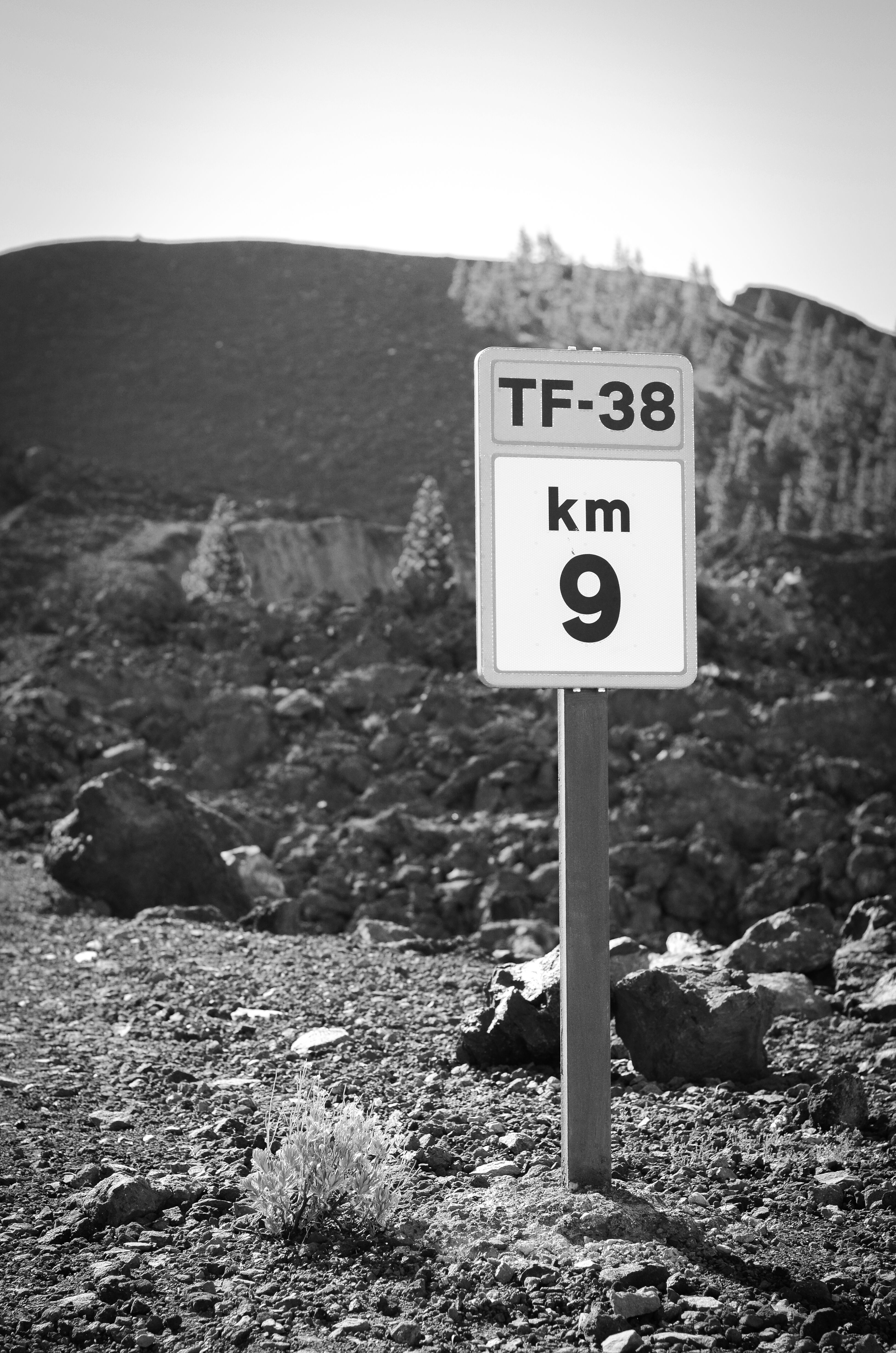 Grayscale Photo of a Road Sign · Free Stock Photo