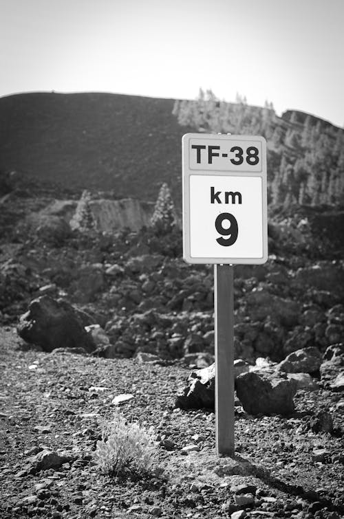 Grayscale Photo of a Road Sign