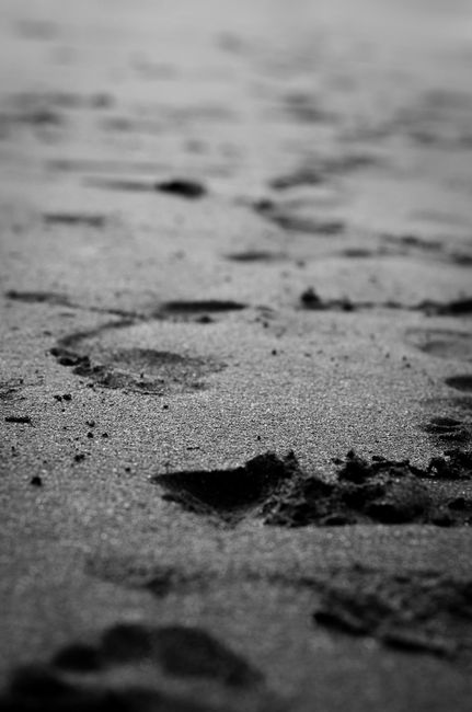 Fotomural Foto en blanco y negro atmosférica de huellas que se extienden por una playa de arena negra.