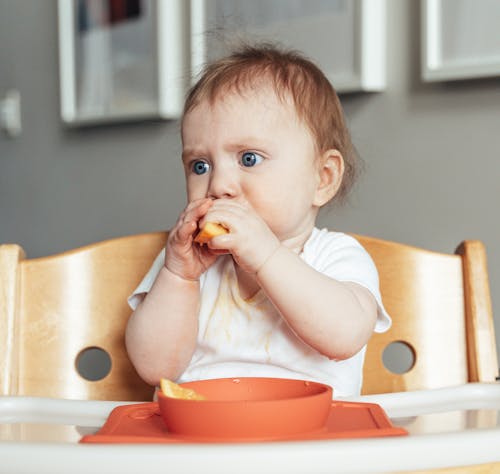 Free Baby Sitting in a Feeding Chair and Eating Stock Photo
