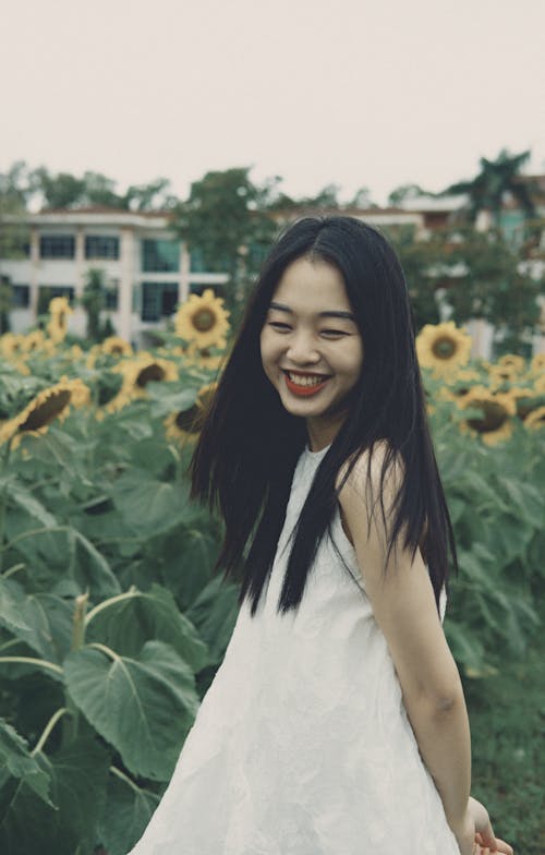 Asyalı kadın, ayçiçeği tarlası, ayçiçekleri içeren Ücretsiz stok fotoğraf