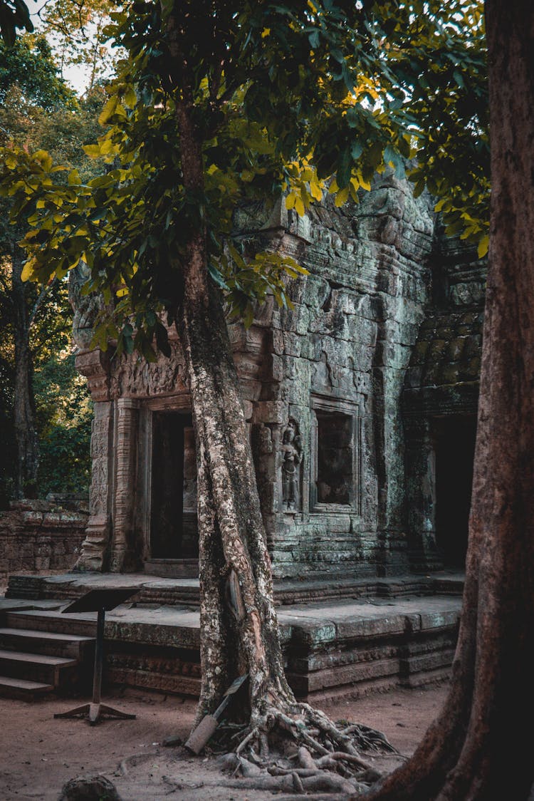 Ta Prohm Cambodia