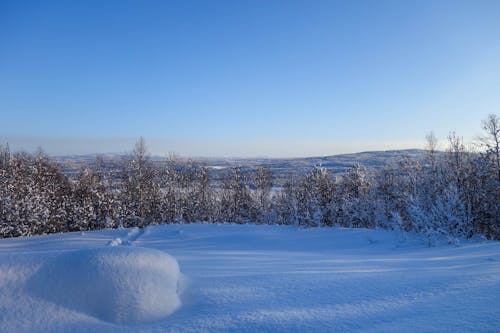 下雪的, 冬季, 大雪覆盖 的 免费素材图片