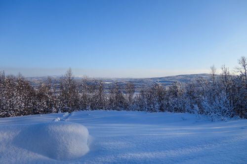 Free Panoramic view of a serene winter landscape with snow-covered trees and hills. Stock Photo