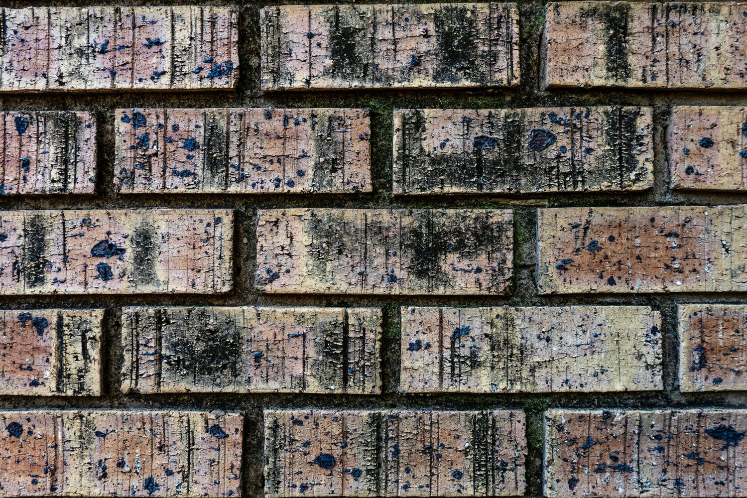 Rough Bricks Photos, Download The BEST Free Rough Bricks Stock Photos ...