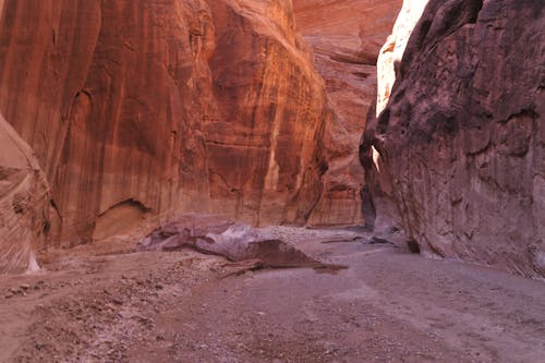 Immagine gratuita di arenaria, canyon, deserto
