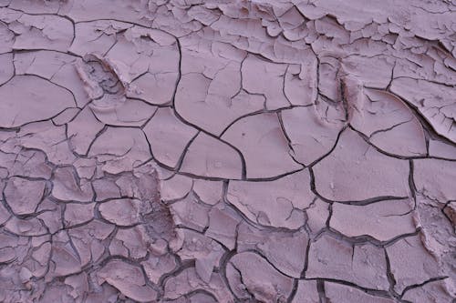 Základová fotografie zdarma na téma detail, drsný, mletý