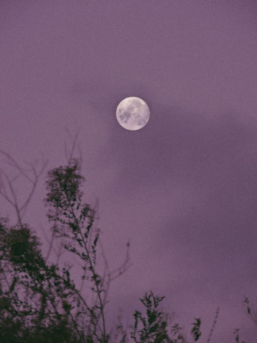 Gratis arkivbilde med fullmåne, himmelsk, lav-vinklet bilde