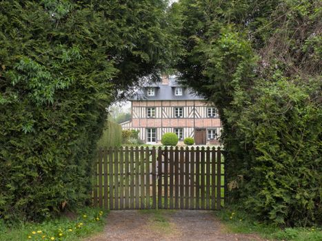 Charming timber-framed country house visible through a lush arched hedge.