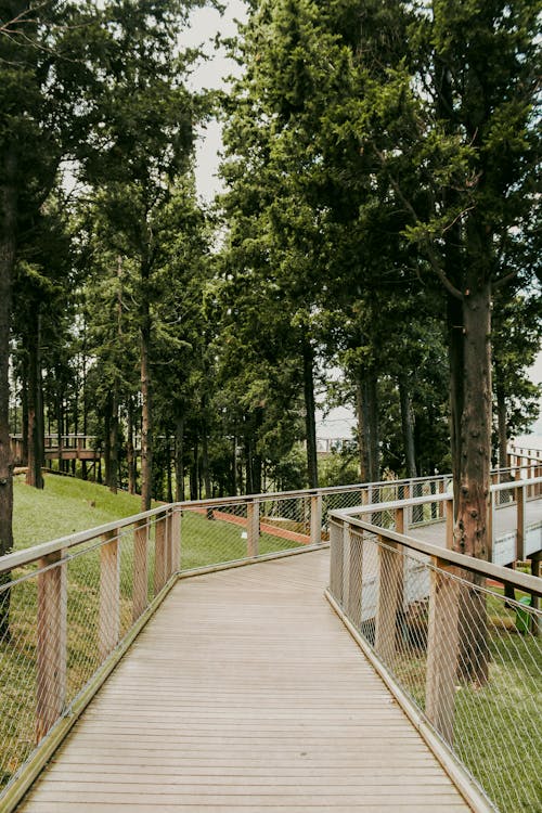 Park Outer Railing Wooden Railing in Park · Free Stock Photo