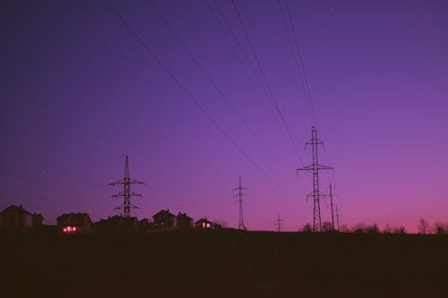 Fotos de stock gratuitas de arboles, casas, cielo morado