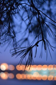 A tranquil scene of pine branches silhouetted against a purple sky with bokeh lights reflecting in water.