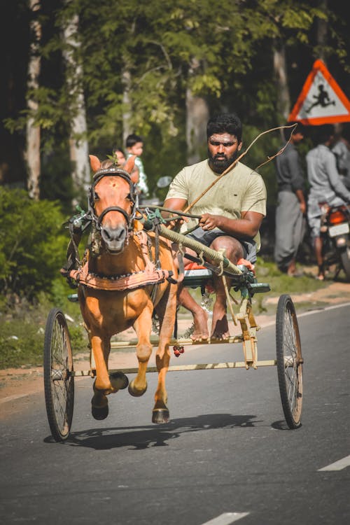 A Man in Gray Crew Neck T-shirt Riding on Horse Carriage