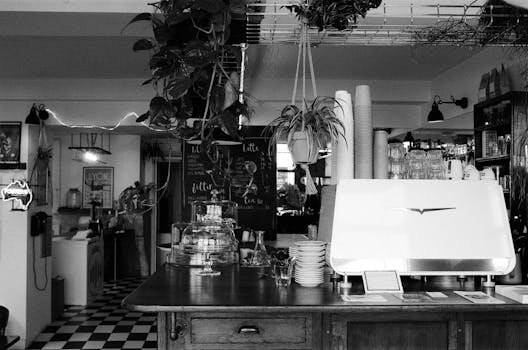 Black and white photo of a cozy café interior featuring a coffee counter and plants.