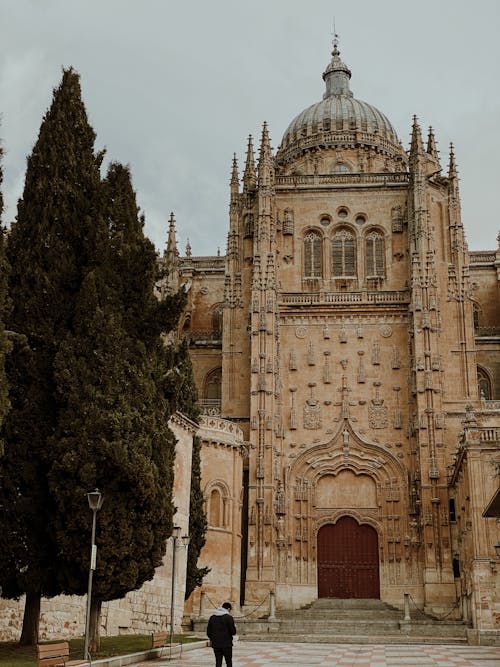 Old Cathedral of Salamanca 
